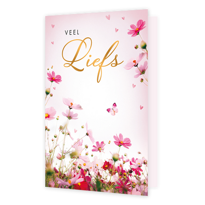 Veel liefs - Formaat: Standaard - Vorm: Staand - Liefdeskaart - Op deze wenskaart staan onderaan bloeiende roze en rode cosmea-bloemen, waarbij een kleine vlinder tussen de bloemen door vliegt en er diverse kleine hartjes door de lucht zweven. Bovenaan de kaart staat de tekst "VEEL Liefs" in een combinatie van strakke zwarte letters en een sierlijk, goudkleurig lettertype. De lichte roze achtergrond en de bloemen zorgen voor een vrolijke, lenteachtige en liefdevolle uitstraling. - Snelwenskaart