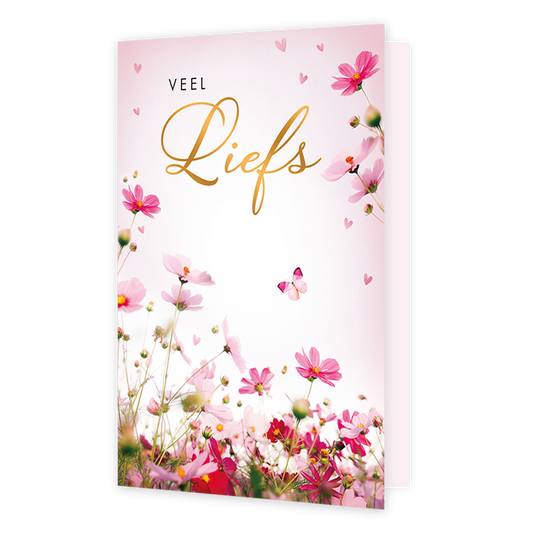 Veel liefs - Formaat: Standaard - Vorm: Staand - Liefdeskaart - Op deze wenskaart staan onderaan bloeiende roze en rode cosmea-bloemen, waarbij een kleine vlinder tussen de bloemen door vliegt en er diverse kleine hartjes door de lucht zweven. Bovenaan de kaart staat de tekst "VEEL Liefs" in een combinatie van strakke zwarte letters en een sierlijk, goudkleurig lettertype. De lichte roze achtergrond en de bloemen zorgen voor een vrolijke, lenteachtige en liefdevolle uitstraling. - Snelwenskaart