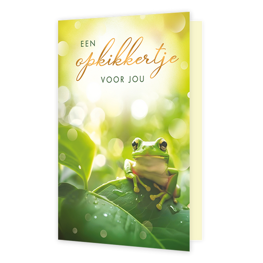 Een opkikkertje voor jou - Formaat: Standaard - Vorm: Staand - Opkikker kaart - Op deze wenskaart zit een kleine groene kikker op een groot, glanzend groen blad met dauwdruppels in een zonnige, lichte omgeving. Bovenaan staat de tekst "EEN opkikkertje VOOR JOU" in een combinatie van groene hoofdletters en een sierlijk, goudkleurig lettertype. Het bokeh-effect in de achtergrond versterkt de frisse en vrolijke uitstraling van de illustratie. Het gehele beeld is ontworpen om een opbeurend gevoel over te breng