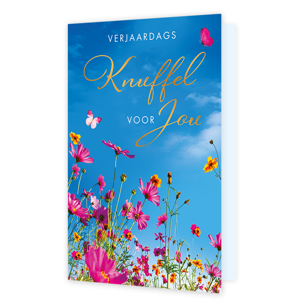 Verjaardags knuffel voor jou - Formaat: Standaard - Vorm: Staand - Verjaardagskaart - Op deze wenskaart staan kleurrijke roze en gele bloemen afgebeeld die naar een helderblauwe lucht toe reiken, vergezeld door twee roze vlinders. Bovenaan de kaart staat de tekst "VERJAARDAGS Knuffel VOOR Jou" in een combinatie van strakke witte hoofdletters en een sierlijk, goudkleurig lettertype. De levendige kleuren van de bloemen tegen de strakblauwe lucht geven de illustratie een vrolijke en zonnige uitstraling. Het b