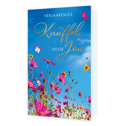 Verjaardags knuffel voor jou - Formaat: Standaard - Vorm: Staand - Verjaardagskaart - Op deze wenskaart staan kleurrijke roze en gele bloemen afgebeeld die naar een helderblauwe lucht toe reiken, vergezeld door twee roze vlinders. Bovenaan de kaart staat de tekst "VERJAARDAGS Knuffel VOOR Jou" in een combinatie van strakke witte hoofdletters en een sierlijk, goudkleurig lettertype. De levendige kleuren van de bloemen tegen de strakblauwe lucht geven de illustratie een vrolijke en zonnige uitstraling. Het b