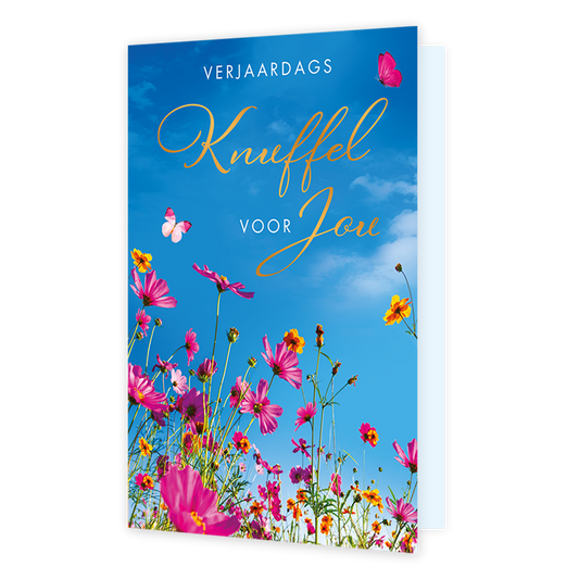 Verjaardags knuffel voor jou - Formaat: Standaard - Vorm: Staand - Verjaardagskaart - Op deze wenskaart staan kleurrijke roze en gele bloemen afgebeeld die naar een helderblauwe lucht toe reiken, vergezeld door twee roze vlinders. Bovenaan de kaart staat de tekst "VERJAARDAGS Knuffel VOOR Jou" in een combinatie van strakke witte hoofdletters en een sierlijk, goudkleurig lettertype. De levendige kleuren van de bloemen tegen de strakblauwe lucht geven de illustratie een vrolijke en zonnige uitstraling. Het b