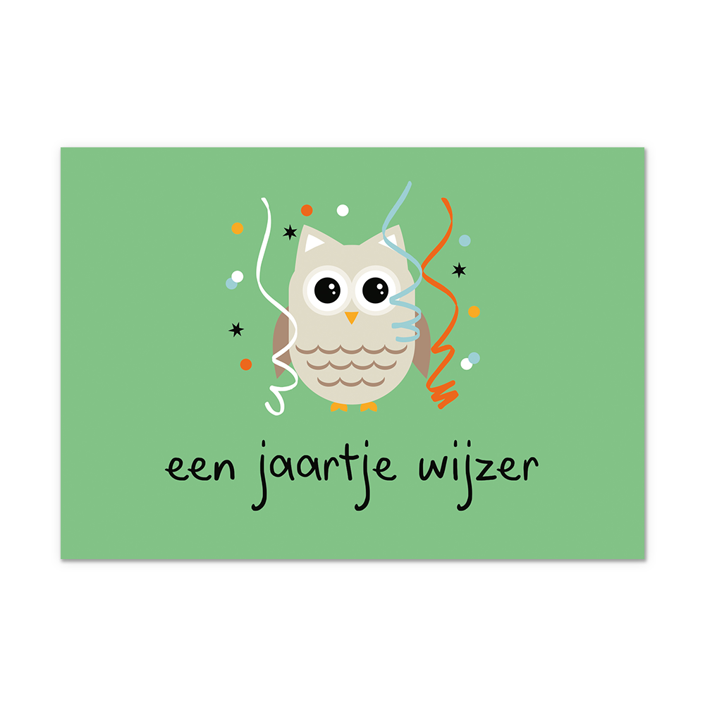 Postcard Een jaartje wijzer - 10 stuks - Formaat: Normaal - Vorm: Liggend - Postcards - Op deze postcard staat de tekst: "Een jaartje wijzer" met daarboven een uil met slingers. - Snelwenskaart