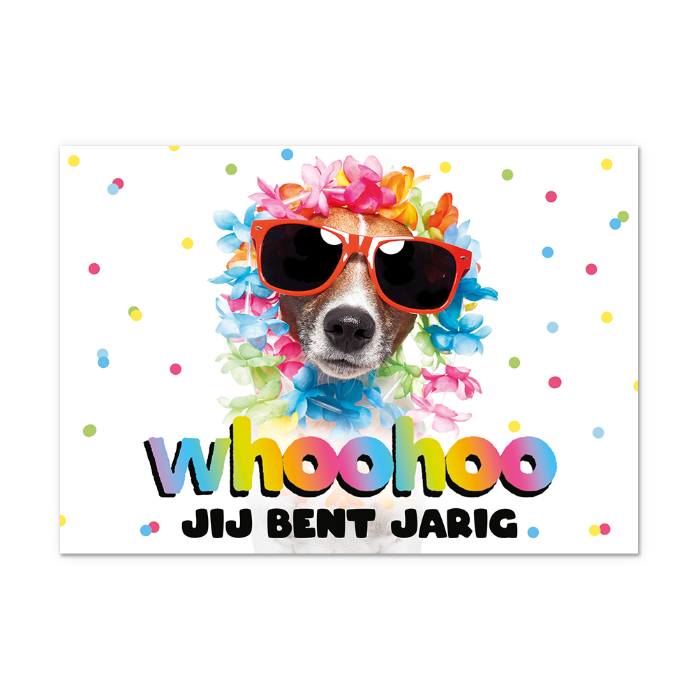 Postcard Whoohoo jij bent jarig - 10 stuks - Formaat: Normaal - Vorm: Liggend - Postcards - Op deze postcard staat de tekst: "Whoohoo jij bent jarig" met daarboven een hand die een grote rode zonnenbril op heeft en bloemenslingers. - Snelwenskaart