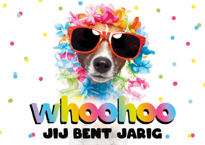 Postcard Whoohoo jij bent jarig - 10 stuks