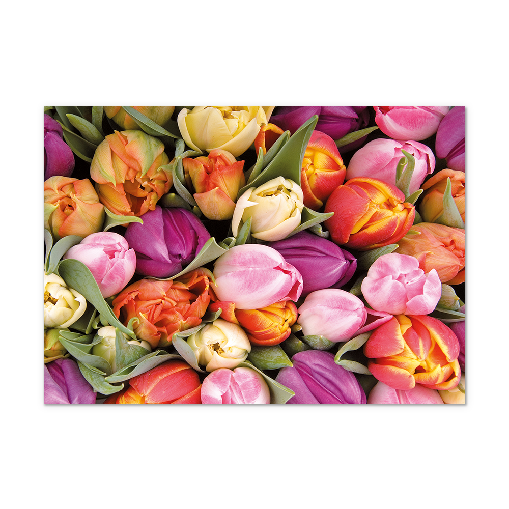 Postcard Tulpen - 10 stuks - Formaat: Normaal - Vorm: Liggend - Postcards - Op deze postcard staan tulpen in de kleuren geel, oranje, paars en roze. - Snelwenskaart