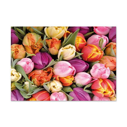 Postcard Tulpen - 10 stuks - Formaat: Normaal - Vorm: Liggend - Postcards - Op deze postcard staan tulpen in de kleuren geel, oranje, paars en roze. - Snelwenskaart
