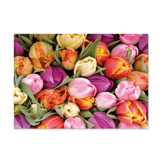 Postcard Tulpen - 10 stuks - Formaat: Normaal - Vorm: Liggend - Postcards - Op deze postcard staan tulpen in de kleuren geel, oranje, paars en roze. - Snelwenskaart