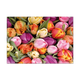 Postcard Tulpen - 10 stuks - Formaat: Standaard - Vorm: Liggend - Postcards - Op deze postcard staan tulpen in de kleuren geel, oranje, paars en roze. - Snelwenskaart