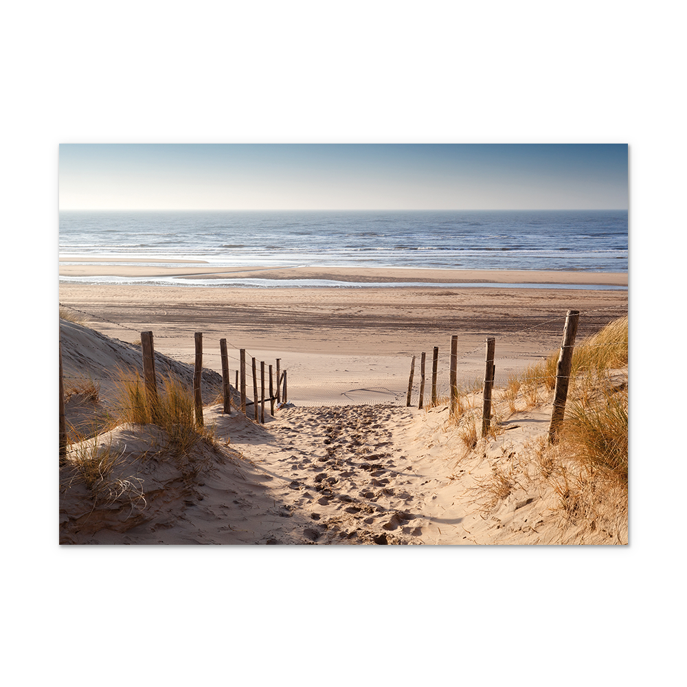 Postcard Strand en zee - 10 stuks - Formaat: Normaal - Vorm: Liggend - Postcards - Op deze postcard staan duinen die uitlopen op een strand. - Snelwenskaart