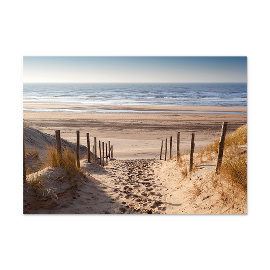 Postcard Strand en zee - 10 stuks - Formaat: Normaal - Vorm: Liggend - Postcards - Op deze postcard staan duinen die uitlopen op een strand. - Snelwenskaart