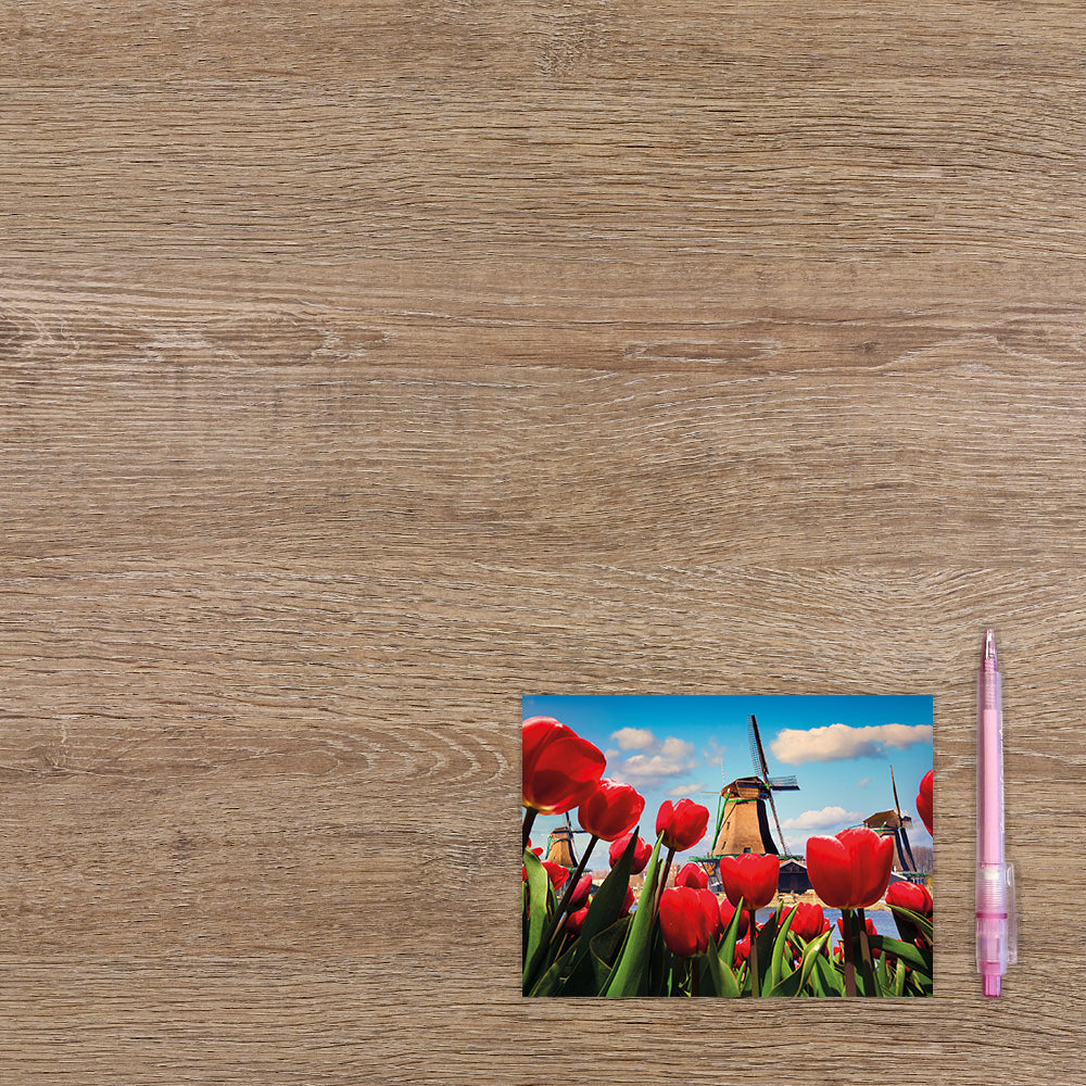 Postcard Tulpen en molen - 10 stuks