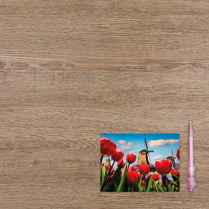 Postcard Tulpen en molen - 10 stuks