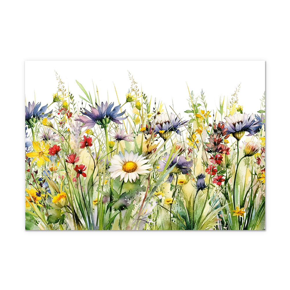 Postcard Bloemenveld - 10 stuks - Formaat: Normaal - Vorm: Liggend - Postcards - Op deze postkaart staat een gedetailleerde aquarel van een wilde bloemenweide. Centraal in de illustratie staat een witte margriet, omringd door een verscheidenheid aan andere bloemen in tinten paars, geel en rood. Tussen de bloemen door zijn fijne groene grassprieten en bladeren getekend, die diepte en textuur aan het geheel geven. De bovenkant van de afbeelding is wit en onbedrukt, wat een mooi contrast vormt met de kleurrij