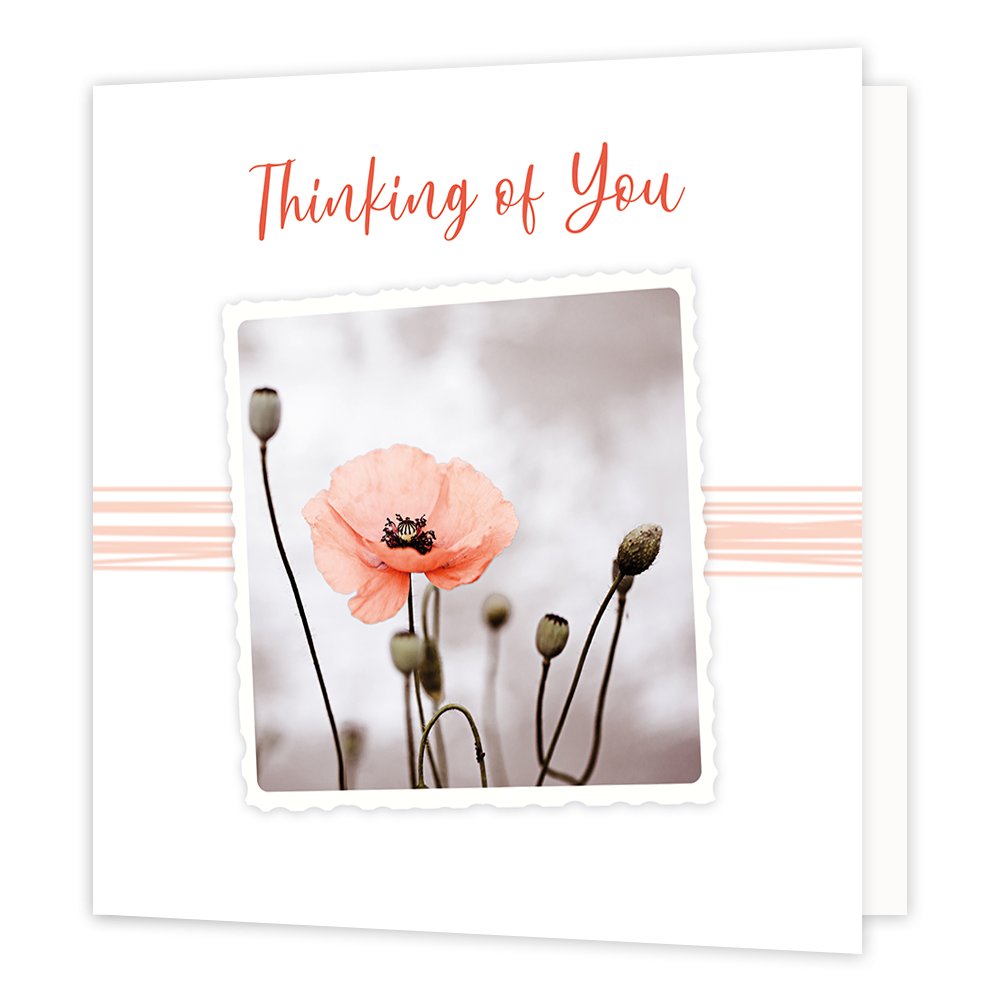 Thinking of you - Formaat: Normaal - Vorm: Vierkant - Denken aan kaart - Op deze wenskaart staat een oranje bloem met de tekst: "Thinking of you". - Snelwenskaart