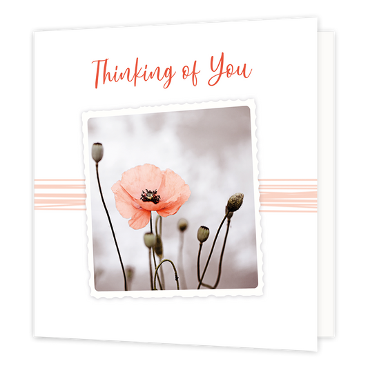 Thinking of you - Formaat: Normaal - Vorm: Vierkant - Denken aan kaart - Op deze wenskaart staat een oranje bloem met de tekst: "Thinking of you". - Snelwenskaart