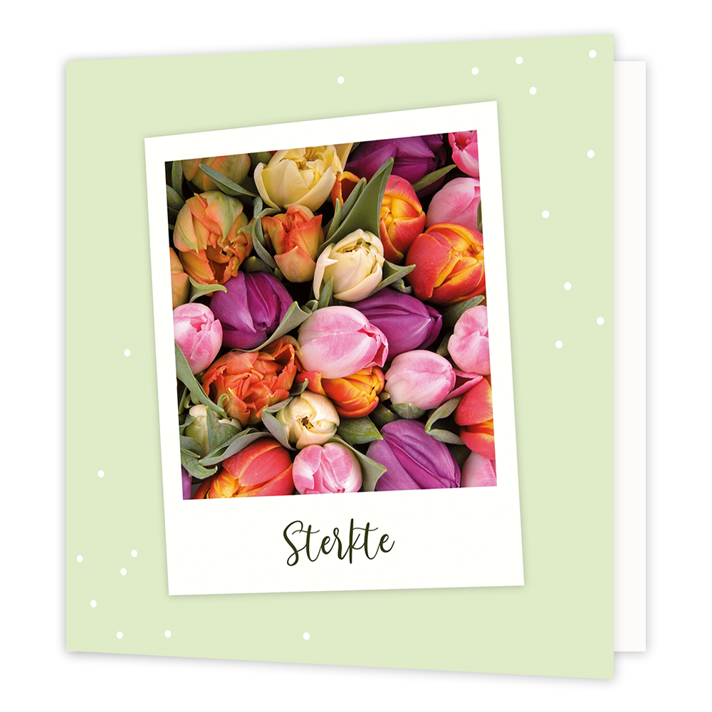 Sterkte - Formaat: Normaal - Vorm: Vierkant - Sterkte kaart - Op deze wenskaart staan tulpen in diverse kleuren met daaronder de tekst: "Sterkte". - Snelwenskaart