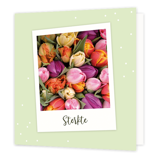 Sterkte - Formaat: Normaal - Vorm: Vierkant - Sterkte kaart - Op deze wenskaart staan tulpen in diverse kleuren met daaronder de tekst: "Sterkte". - Snelwenskaart