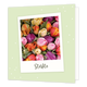 Sterkte - Formaat: Standaard - Vorm: Vierkant - Sterkte kaart - Op deze wenskaart staan tulpen in diverse kleuren met daaronder de tekst: "Sterkte". - Snelwenskaart