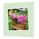 Bloemen - Formaat: Standaard - Vorm: Vierkant - Blanco kaart - Op deze wenskaart staat een fiets met roze bloemen in het mandje. - Snelwenskaart