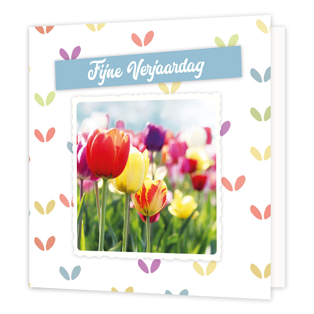 Fijne verjaardag - Formaat: Normaal - Vorm: Vierkant - Verjaardagskaart - Op deze wenskaart staan tulpen in diverse kleuren met de tekst: "Fijne verjaardag". - Snelwenskaart