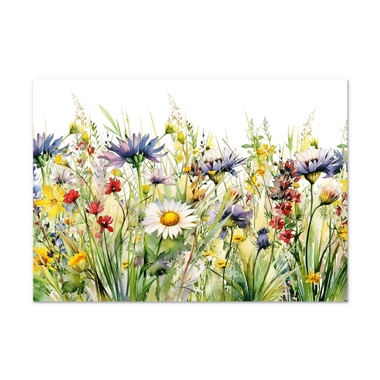 Op deze postkaart staat een gedetailleerde aquarel van een wilde bloemenweide. Centraal in de illustratie staat een witte margriet, omringd door een verscheidenheid aan andere bloemen in tinten paars, geel en rood. Tussen de bloemen door zijn fijne groene grassprieten en bladeren getekend, die diepte en textuur aan het geheel geven. De bovenkant van de afbeelding is wit en onbedrukt, wat een mooi contrast vormt met de kleurrijke en levendige flora aan de onderzijde.
