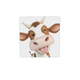 Gekke koe