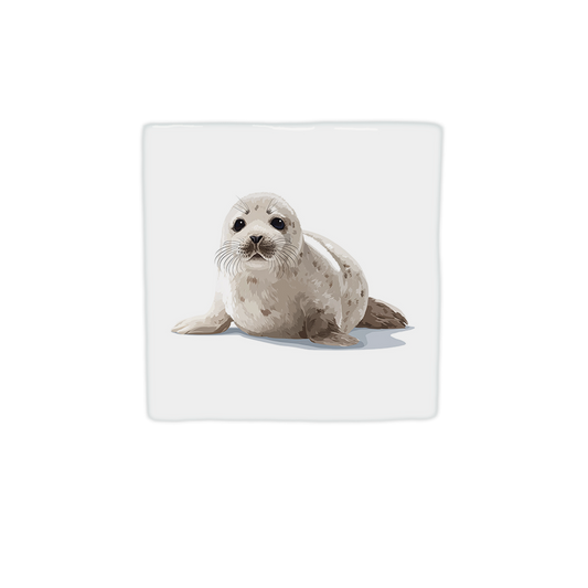 Zeehond