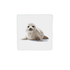 Zeehond
