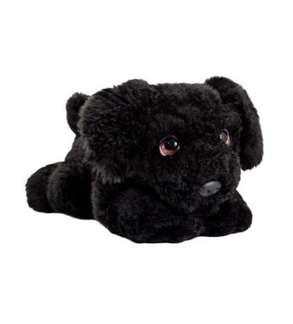 Knuffel hond