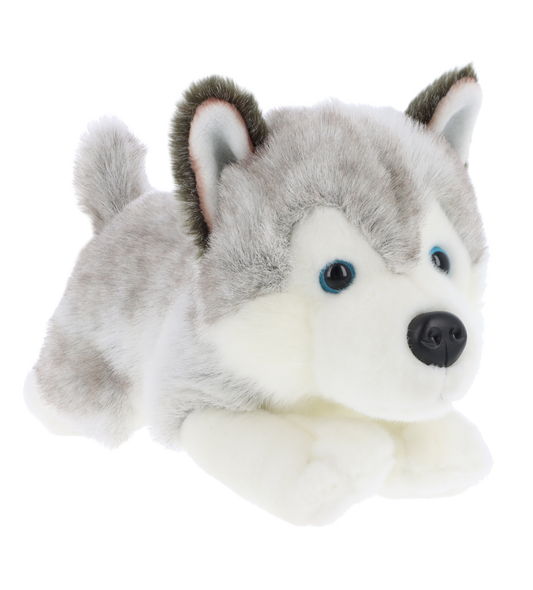 Knuffel puppy husky