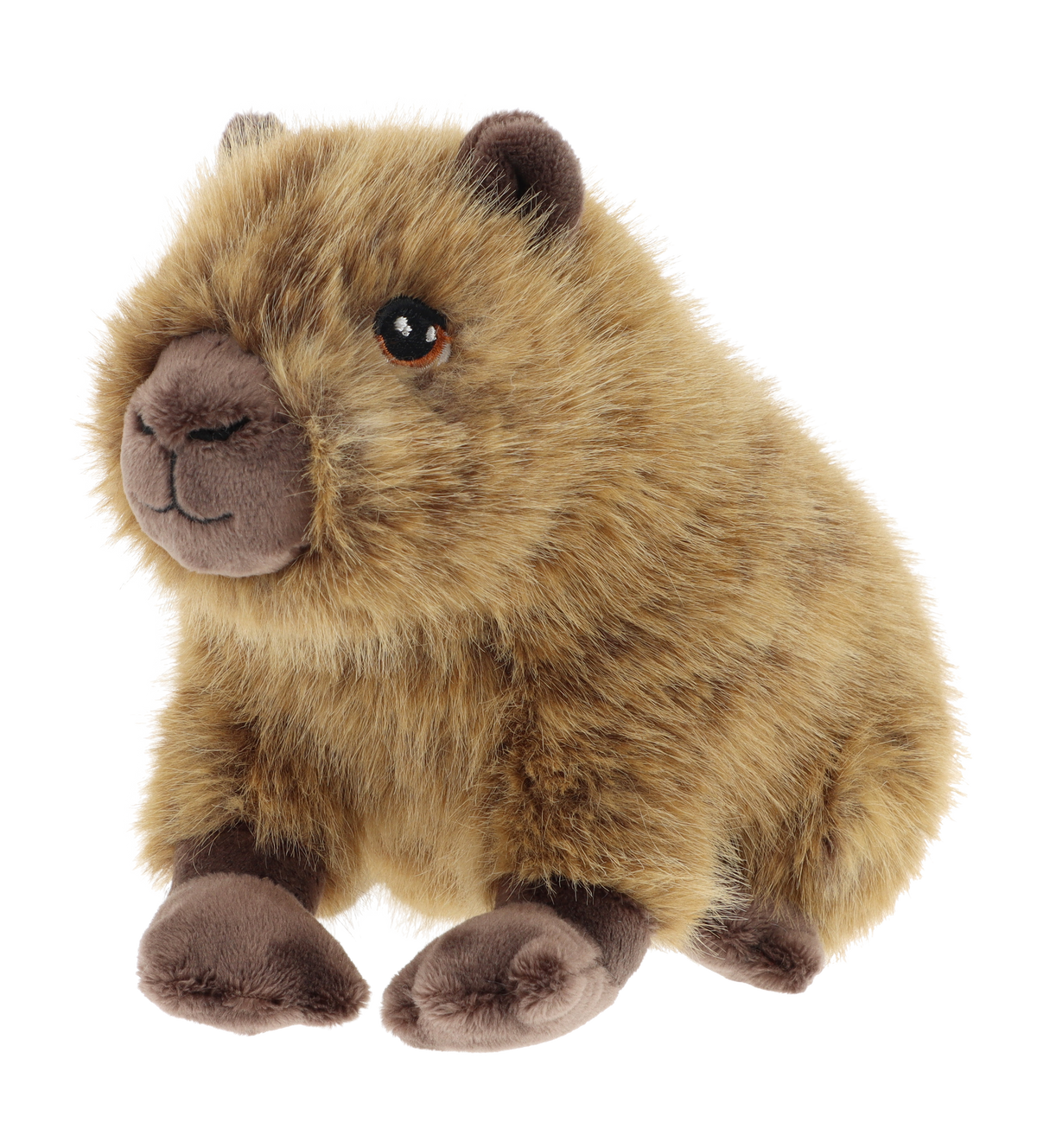 Capibara