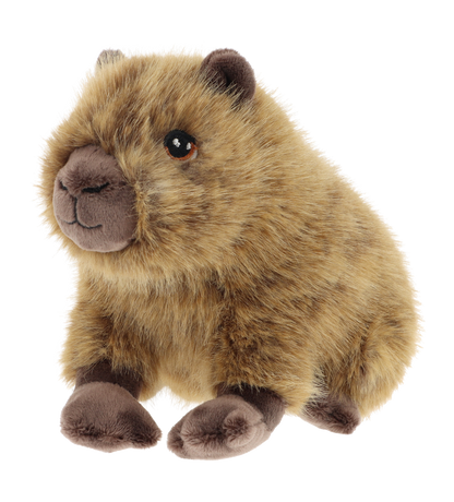 Capibara
