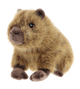 Capibara