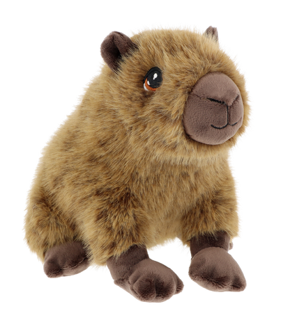 Capibara