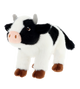 Koe