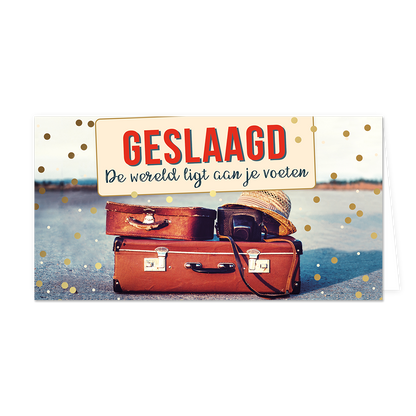 Geslaagd de wereld ligt aan je voeten - Formaat: Groot - Vorm: Liggend - Geslaagd kaart - Op deze wenskaart staan reiskoffers met een camera en strohoedje. Daarboven staat de tekst: "Geslaagd de wereld ligt aan je voeten". - Snelwenskaart