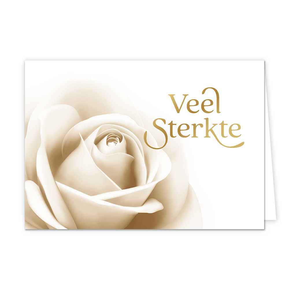 Veel sterkte - Formaat: Normaal - Vorm: Liggend - Sterkte kaart - Op deze wenskaart staat een witte roos met daarnaast de tekst: "Veel sterkte". - Snelwenskaart