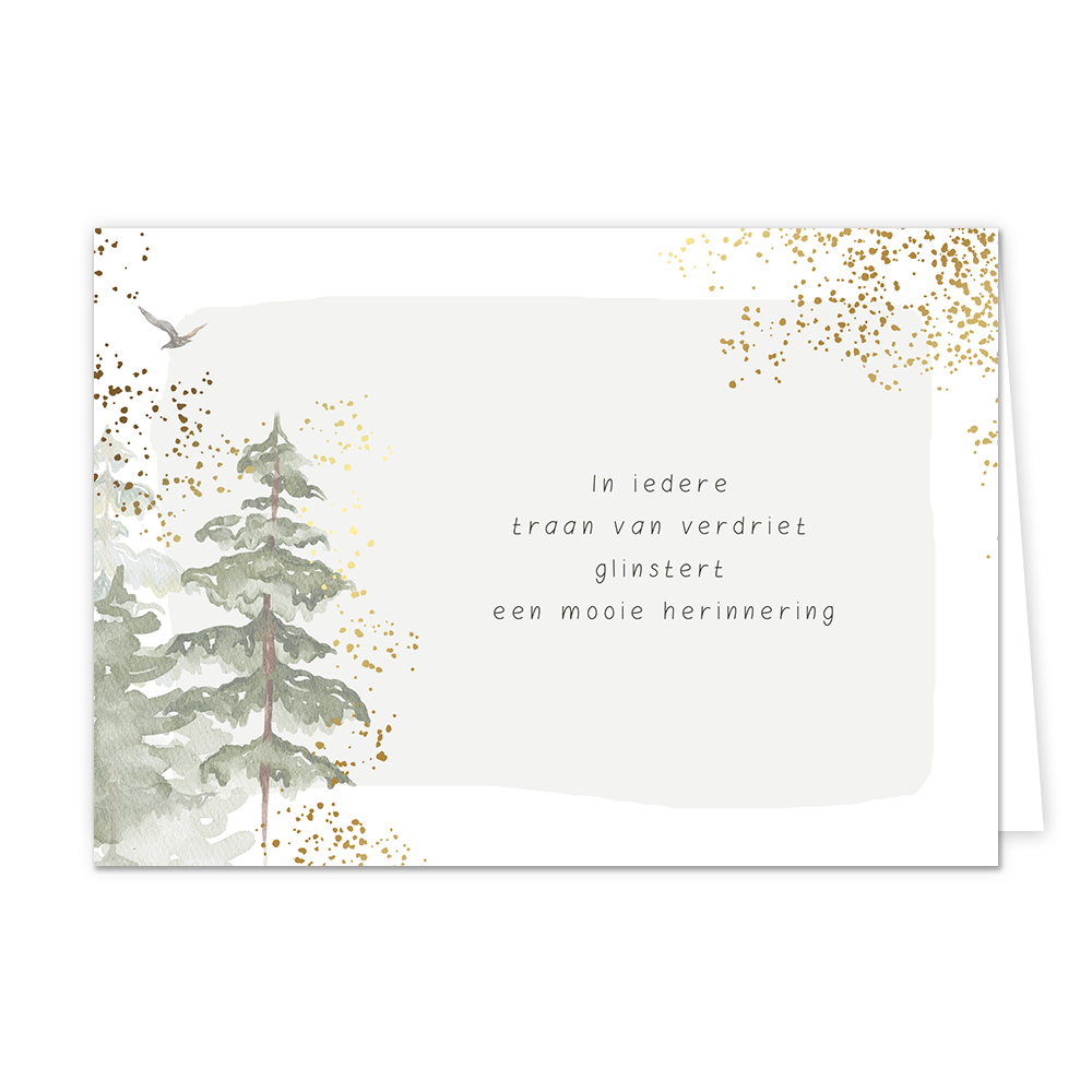 In iedere traan van verdriet