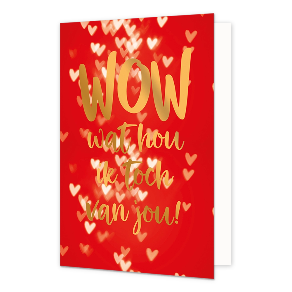 Wow wat hou ik toch van jou! - Formaat: Normaal - Vorm: Staand - Valentijnskaart - Op deze wenskaart staan wite en beige hartjes op een rode achtergrond met de gouden tekst: "Wow wat hou ik toch van jou!". - Snelwenskaart