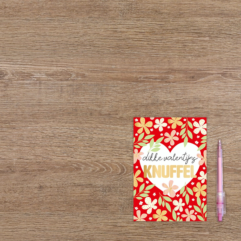 Dikke Valentijnsknuffel