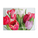 Fijne verjaardag van je collega's - Formaat: Standaard - Vorm: Liggend - Verjaardagskaart - Op deze wenskaart staan tulpen in de kleuren rood, wit en paars met de tekst: "Een fijne verjaardag van je collega's". - Snelwenskaart