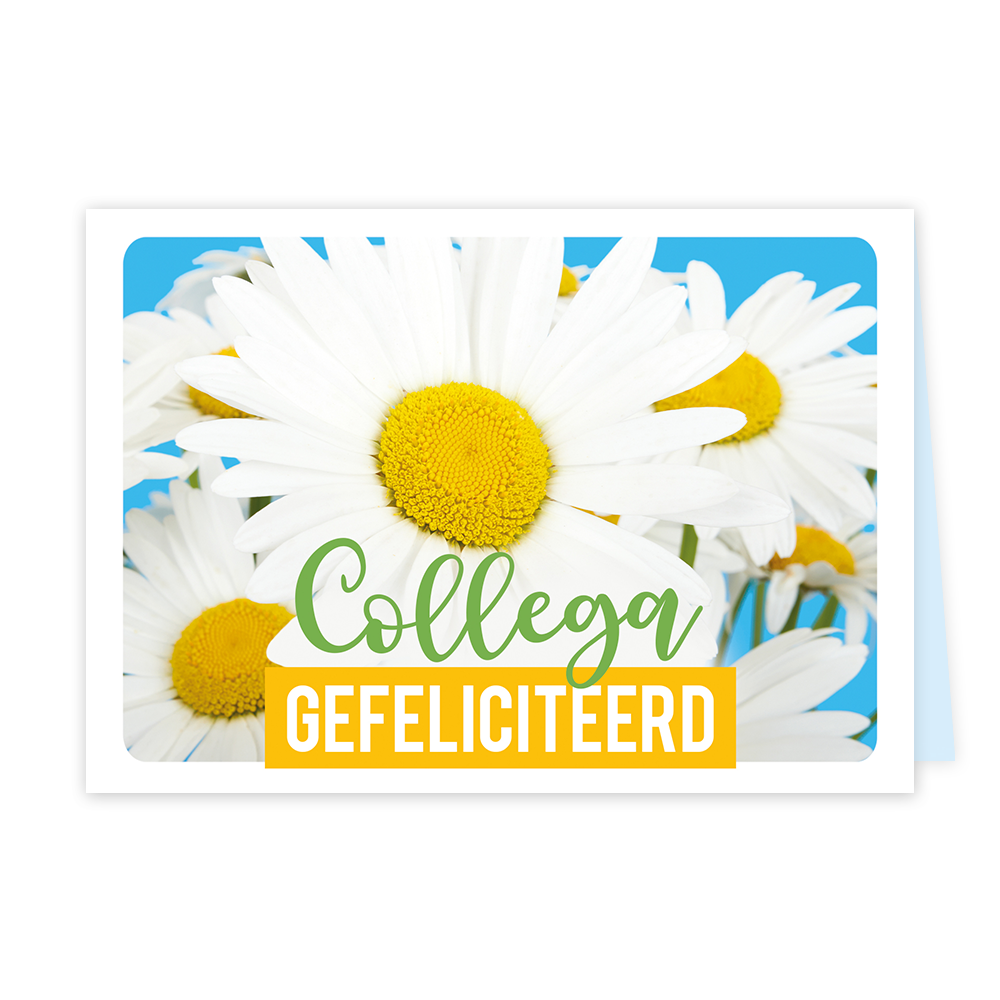 Collega gefeliciteerd - Formaat: Klein - Vorm: Liggend - Felicitatiekaart - Op deze wenskaart staan madeliefjes met de tekst: "Collega gefeliciteerd". - Snelwenskaart