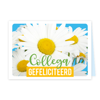 Collega gefeliciteerd - Formaat: Klein - Vorm: Liggend - Felicitatiekaart - Op deze wenskaart staan madeliefjes met de tekst: "Collega gefeliciteerd". - Snelwenskaart