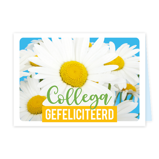 Collega gefeliciteerd - Formaat: Klein - Vorm: Liggend - Felicitatiekaart - Op deze wenskaart staan madeliefjes met de tekst: "Collega gefeliciteerd". - Snelwenskaart