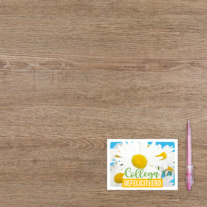 Collega gefeliciteerd