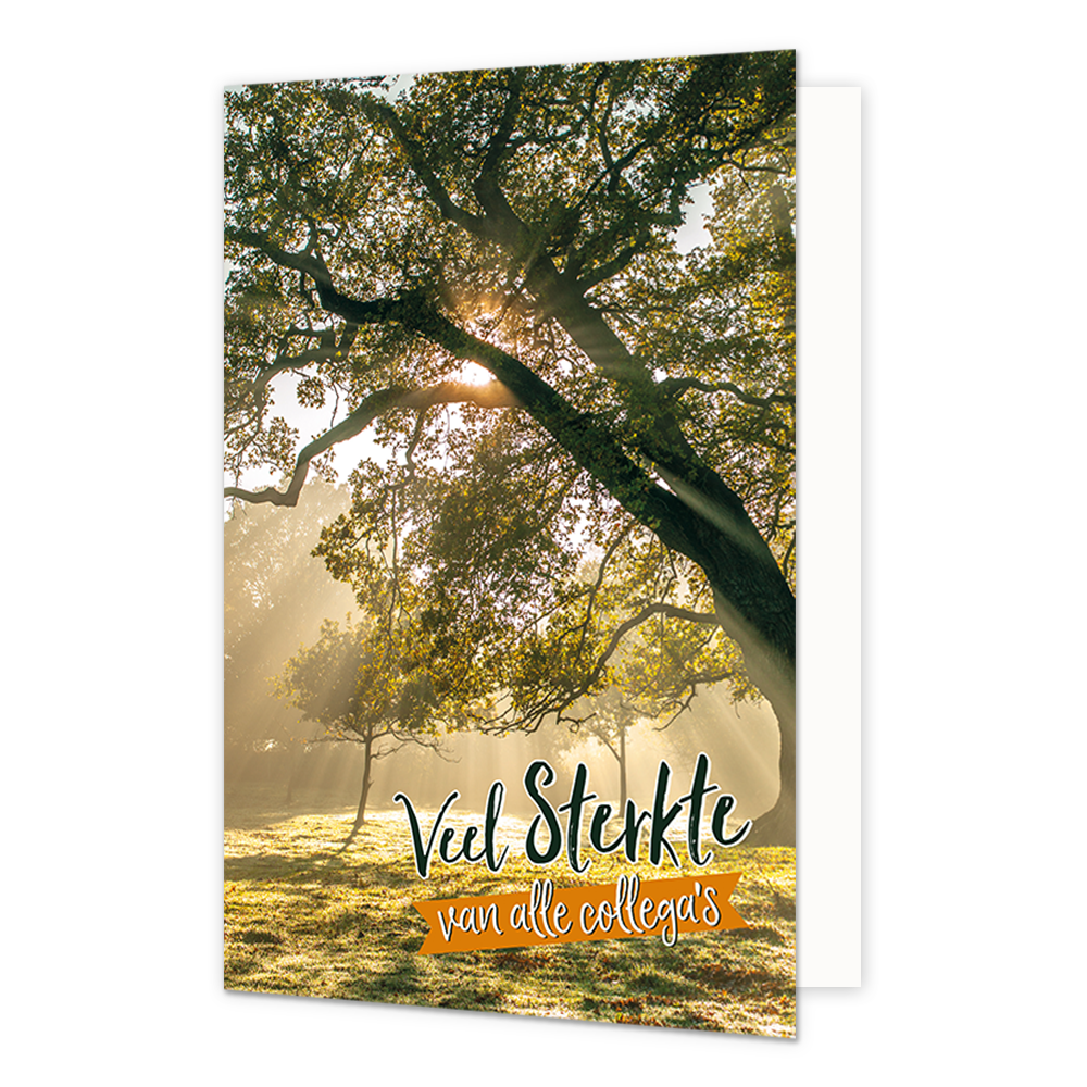 Veel sterkte van alle collega's - Formaat: Normaal - Vorm: Staand - Sterkte kaart - Op deze wenskaart staan bomen waar de zon doorheen schijnt met de tekst: "Veel sterkte van alle collega's". - Snelwenskaart