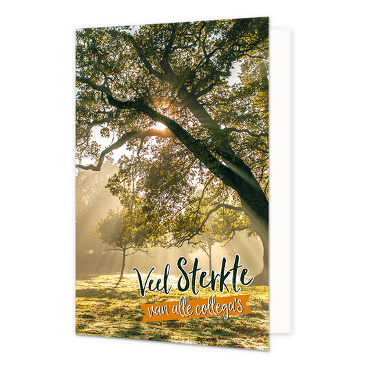 Veel sterkte van alle collega's - Formaat: Normaal - Vorm: Staand - Sterkte kaart - Op deze wenskaart staan bomen waar de zon doorheen schijnt met de tekst: "Veel sterkte van alle collega's". - Snelwenskaart
