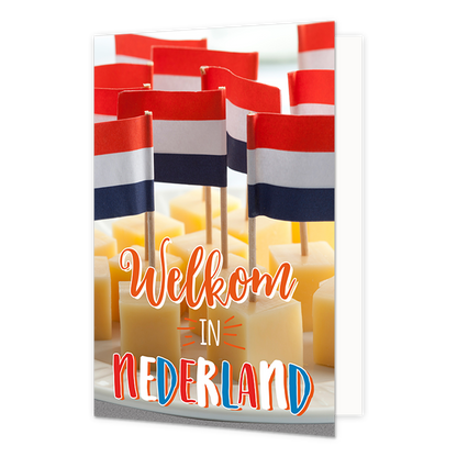 Welkom in Nederland - Formaat: Normaal - Vorm: Staand - Welkom kaart - Op deze wenskaart staat een schaal met kaasblokjes met daarin Nederlandse vlaggetjes. In de illustratie staat de tekst: "Welkom in Nederland". - Snelwenskaart