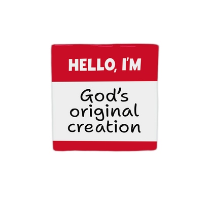 God's original creation